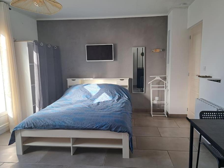 Studio Dans Maison Avec Jardin Et Balcon, Au Calme Sérézin-du-Rhône Екстериор снимка
