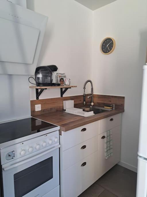 Studio Dans Maison Avec Jardin Et Balcon, Au Calme Sérézin-du-Rhône Екстериор снимка